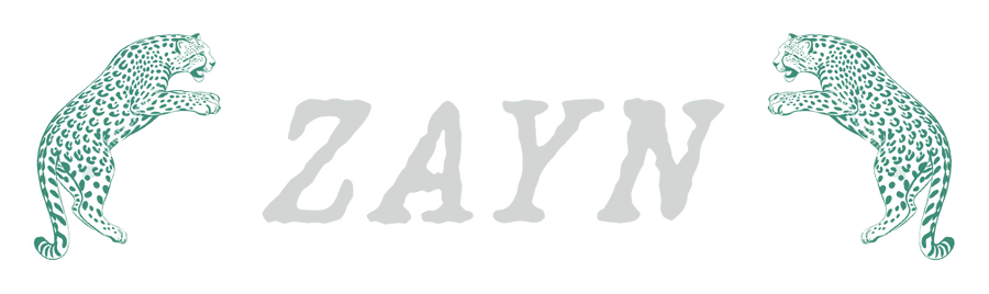 Zayn Official Store